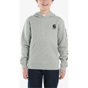 Carhartt Kids Light Gray Hoodie